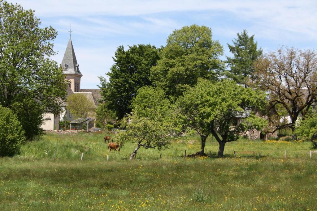 Auberge De Saint Julien Aux Bois ภายนอก รูปภาพ