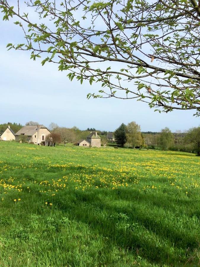 Auberge De Saint Julien Aux Bois ภายนอก รูปภาพ