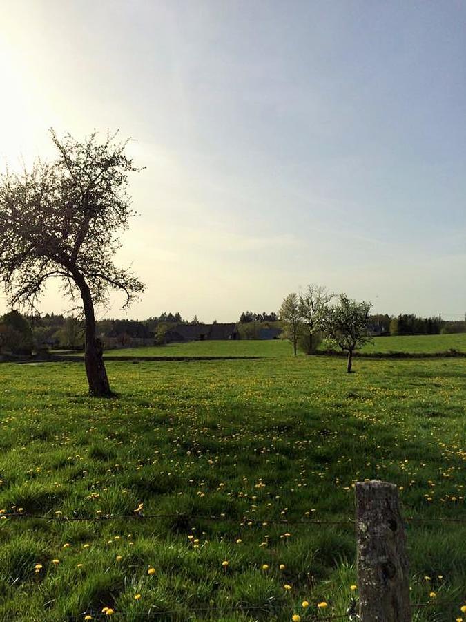 Auberge De Saint Julien Aux Bois ภายนอก รูปภาพ